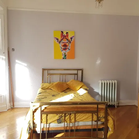 Double Victorian Townhouse - Town Centre - Homestay Shared Accom * Carrick-on-Shannon